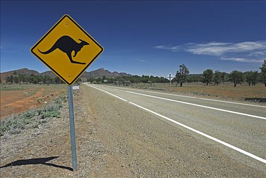 路标,警告,袋鼠,弗林德斯山脉,澳洲南部,澳大利亚