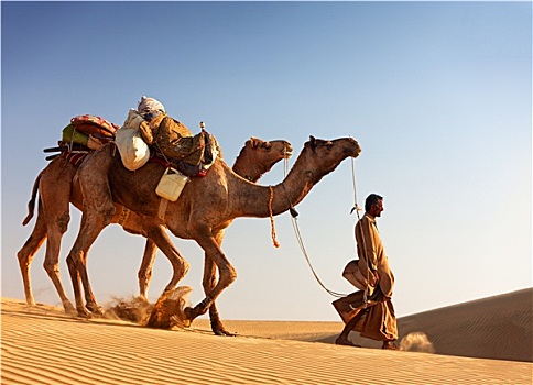 骆驼,男人,拴狗绳,塔尔沙漠