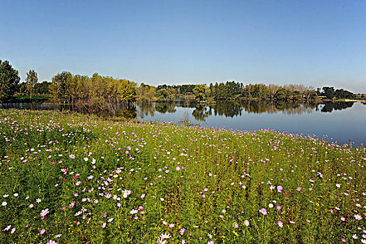 蒲河