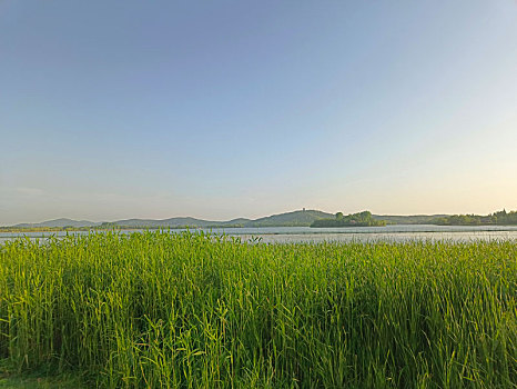 露营地,太湖露营