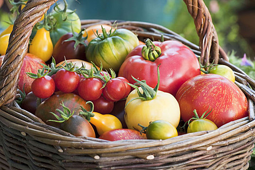 篮子,不同,西红柿,品种