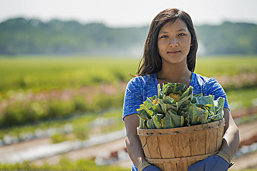 美女,农产品,菜园,新鲜,蔬菜,拿着,篮子