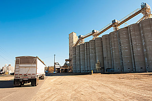 谷物,卡车,装载,新鲜,收获,大豆,谷仓,美国