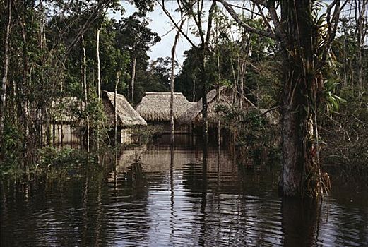 小屋,洪水,树林,亚马逊地区,厄瓜多尔