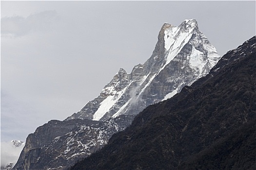 鱼尾,山,尼泊尔