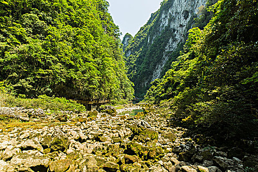 自燃山水