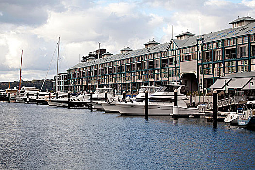 悉尼市区,悉尼,码头