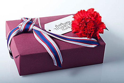 包装,礼盒,红色,康乃馨,花,礼物,标签