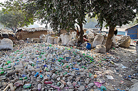 垃圾,堆积,街道,阿拉哈巴德,北方邦,印度,亚洲