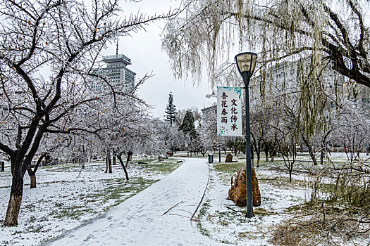 雨雪过后的中国长春牡丹园冬季景观