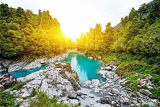 平和,湖,阳光,绿色,树林