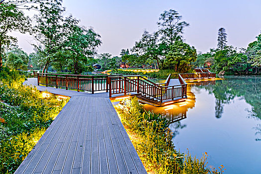 杭州西溪湿地风光夜景