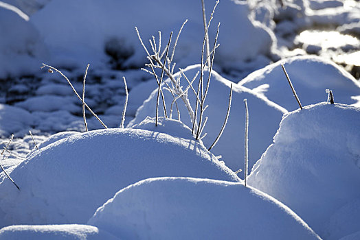 雪景