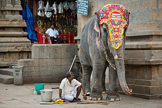 装饰,庙宇,大象,驱象者,地区,安曼,马杜赖,泰米尔纳德邦,印度,亚洲