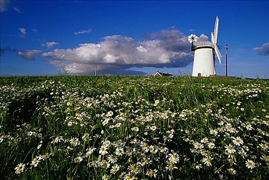 风车,北爱尔兰