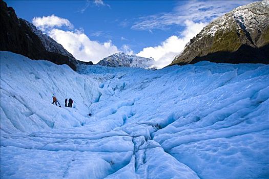 福克斯冰川,西区国家公园,南岛,新西兰