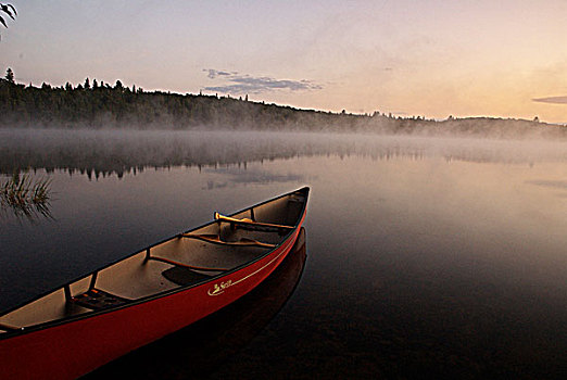 独木舟,岸边,场景,荒野,湖,背景,阿尔冈金公园,安大略省,加拿大