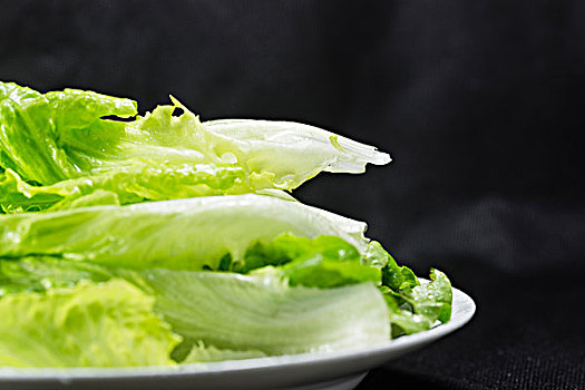 新鲜健康的蔬菜生菜