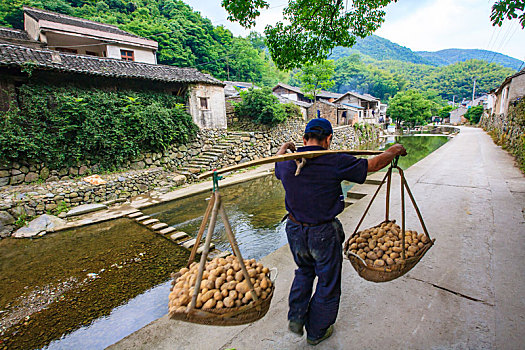 小溪,老房子,山泉,流水