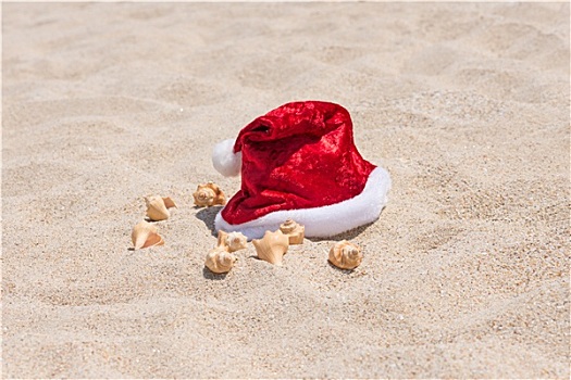 圣诞帽,贝壳,沙滩,背景