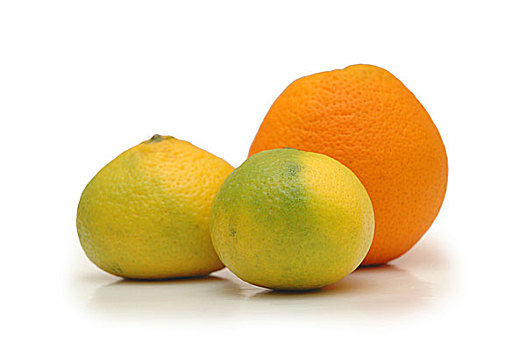 橙子,两个,柑橘,隔绝,白色背景