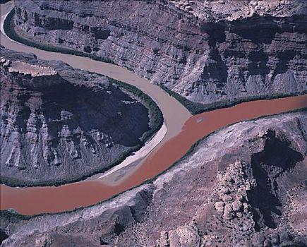 红色,绿色,水,交汇,峡谷地国家公园,犹他