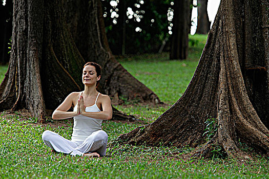 女青年,坐,瑜珈,树