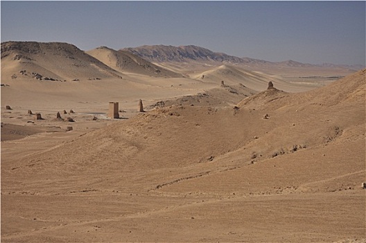 帕尔迈拉,沙漠