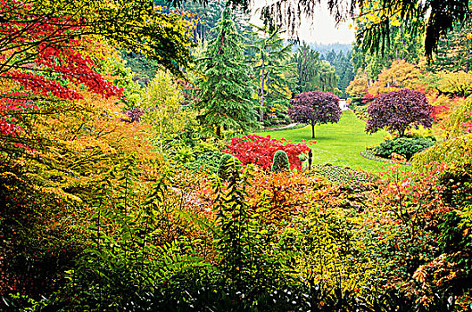 秋天,宝翠花园,维多利亚,温哥华岛,不列颠哥伦比亚省,加拿大