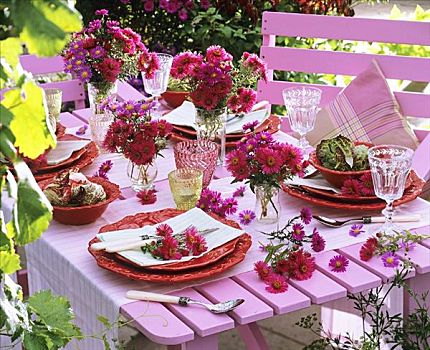花园桌,紫苑属