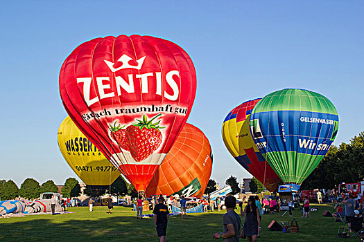 热气球,节日,八月,德国