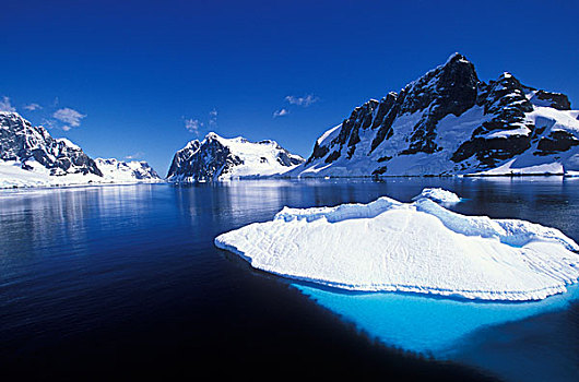 南极,朝日,冰山,漂浮,山,排列,东北方,入口,雷麦瑞海峡