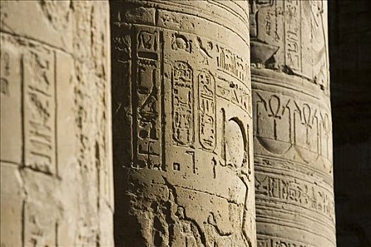 柱子,象形文字,不同,神,荷露斯神庙,伊迪芙,路克索神庙,尼罗河流域,埃及,非洲