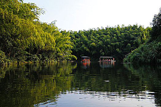 竹林竹海竹子和干净的湖,竹筏划船
