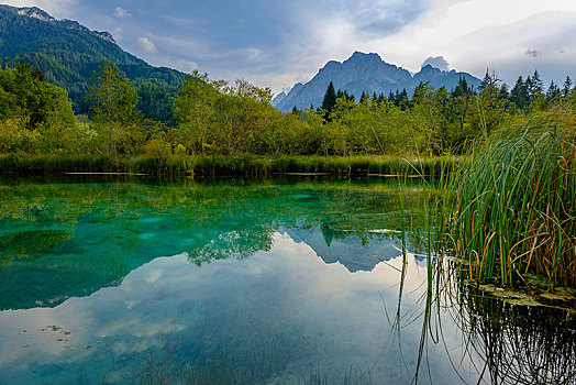 春天,自然保护区,湖,朱利安阿尔卑斯,乌克兰,斯洛文尼亚,欧洲