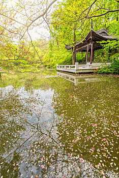 中国江苏南京栖霞山桃花涧的池塘桃花和园林建筑