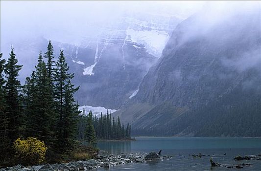 北方针叶林,声响,湖,加拿大,落基山脉,碧玉国家公园,艾伯塔省