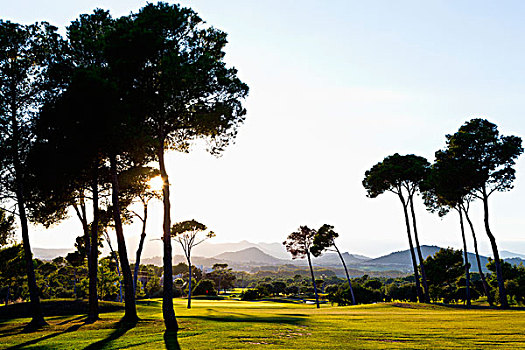 高尔夫球场,儿子,马略卡岛,巴利阿里群岛,西班牙