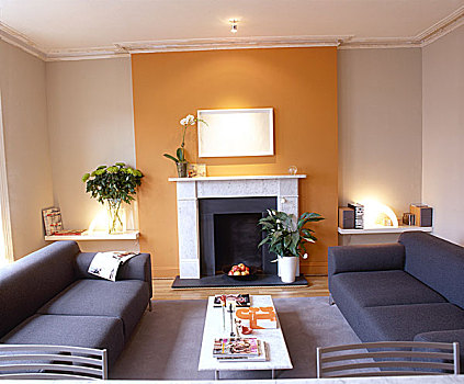 起居室,橙色,墙壁,壁炉,沙发,茶几