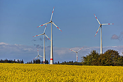 风轮机,莱茵兰普法尔茨州,德国,欧洲