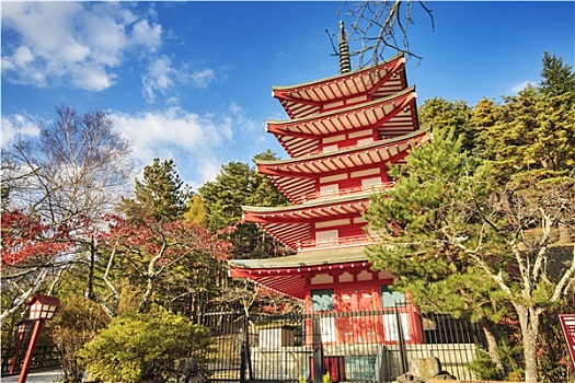 山,富士山,秋色,日本