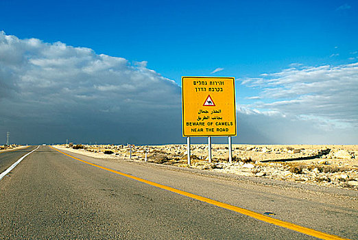 以色列,骆驼,路标,公路