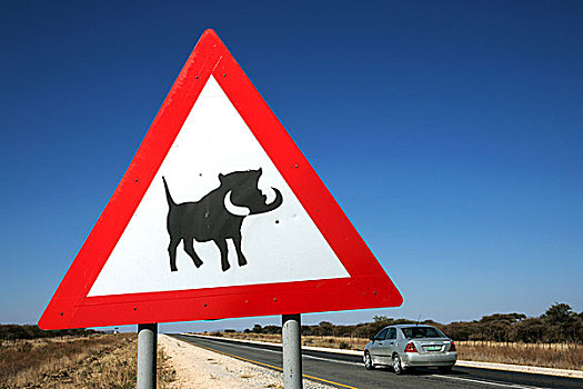 路标,警告,疣猪,道路,纳米比亚,非洲