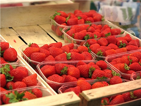 新鲜,草莓,市场