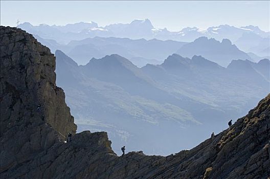 远足者,向上,顶峰,山,正面,山峦,阿尔卑斯山,瑞士,欧洲