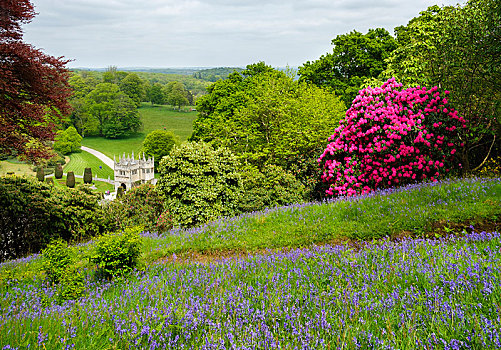花,杜鹃花属植物,房子,花园,靠近,康沃尔,英格兰,英国,欧洲