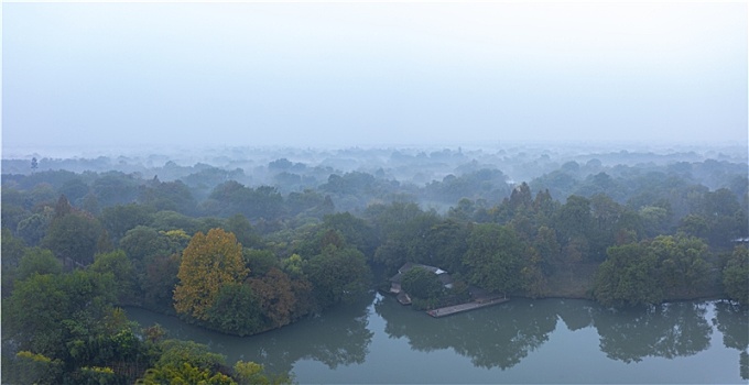 浙江杭州市西溪湿地秋色晨雾