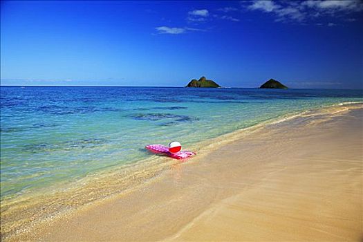 夏威夷,瓦胡岛,粉色,膨胀,筏子,沙滩球,清晰,海洋,水,背景