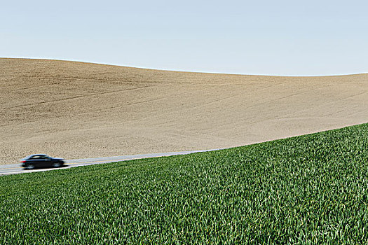 汽车,驾驶,途中,围绕,农田,茂密,绿色,小麦,靠近