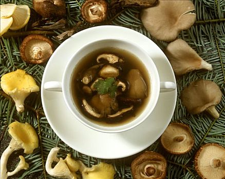 蘑菇汤,汤盘,新鲜,蘑菇